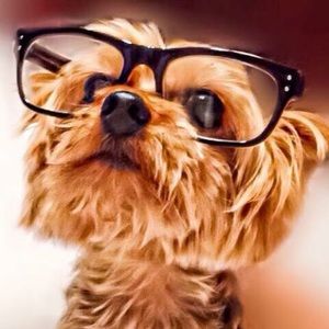 Meet your Posher, Connie